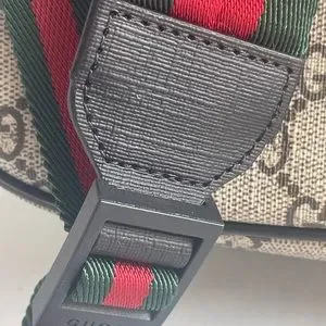 Gucci | Bags | Copy 29 Gucci Brown Coated Canvas Punky  display picture 1